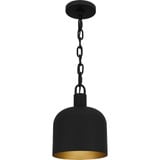 1 Light Industrial Small Pendant 11 Inch Tall by Quoizel - QPP6206