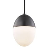 Orion 1 Light Small Pendant 11.75 Inch Tall by Mitzi - H206701S