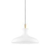 Cassidy 1 Light Medium Pendant by Mitzi - H421701S