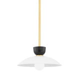 Whitley 1 Light Medium Medium Pendant by Mitzi - H481701S