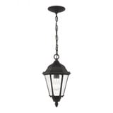 Bakersville 1 Light Traditional Outdoor Small Pendant by Generation - 60938