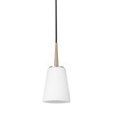Driscoll 1 Light Mini Pendant by Generation - 6140401
