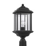 Single light Outdoor Post Lantern 8.5 Inch by 20.25 Inch by Generation - 82029