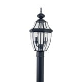 Two Light Outdoor Post Fixture 10 Inch by 21.5 Inch by Generation - 8229