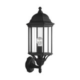 Sevier 1 Light Clear Glass Outdoor Wall Mount 21.75 Inch Tall by Generation - 8638701