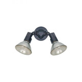 2 Light Outdoor Wall Lantern 11 Inch Tall by Generation - 8642