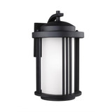 Crowell 1 Light DarkSky Outdoor Wall Lantern by Generation - 8747901D