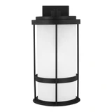 Wilburn 1 Light Large Darksky Outdoor Wall Lantern by Generation - 8790901D