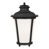 Cape May 1 Light Outdoor Wall Lantern 20.25 Inch Tall by Generation - 88244