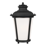 Cape May 1 Light Outdoor Wall Lantern 20.25 Inch Tall by Generation - 88244