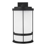 Wilburn 1 Light Extra Large Darksky Outdoor Wall Lantern by Generation - 8890901D