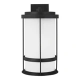 Wilburn 1 Light Extra Large Darksky Outdoor Wall Lantern by Generation - 8890901D