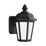 Brentwood One Light Outdoor Wall Lantern by Generation - 89822