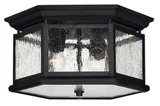 Edgewater 2 Light 9 Inch Wide Outdoor Flush Mount by Hinkley - 1683