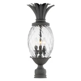 Plantation 1 Light Outdoor Post Top/Pier Mount Lantern by Hinkley - 2121