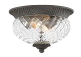 Plantation 2 Light 6.4 Inch Wide Outdoor Flush Mount by Hinkley - 2128
