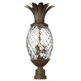 Plantation Cast Outdoor Lantern Fixture 10.25 x 25.25 Inches by Hinkley  - 2221