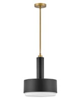 Cedric 2 Light Medium Pendant by Hinkley - 30074