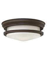 Hadley 2 Light 9 Inch Wide Flush Mount by Hinkley - 3302
