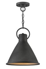 Winnie 1 Light Medium Pendant by Hinkley - 3557