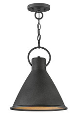 Winnie 1 Light Medium Pendant by Hinkley - 3557