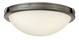 Maxwell 2 Light 13.75 Inch Wide Flush Mount by Hinkley - 3782