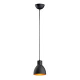 Cora One Light Small Pendant by Maxim - 11020