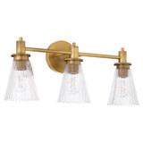 Lawton 3 Light Bath Vanity 9.75 Inch Tall and 22 Inch Wide by Quorum - 5803-3