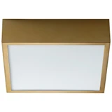 Peepers 18W 1 LED 10.25 Inch Wide Steel Flush Mount by Oxygen - 32_10_25