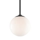 Globe 1 Light Medium Pendant by Troy - GL12M2HS24BK