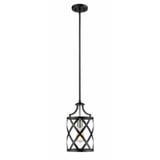 Malcalester 1 Light Small Pendant by Z-Lite - 481MP
