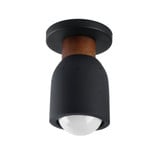 Pompeii 1 Light Flush Mount 7.75 Inch Tall and 4.75 Inch Wide by Maxim - 10629