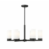 Danica 6 Light Chandelier 12.5 Inches Tall and 26 Inches Wide by Z-Lite - 3044-6
