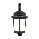 Snakelake Hill - 11.88 inch 9.3W 1 LED Small Outdoor Wall Lantern - 73-BEL-4169615