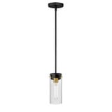 Pinn 1 Light Mini Pendant 10 Inches Tall and 5 Inches Wide by Maxim  - 12406