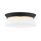 Royston Passage 2 Light 12.75 Inch Wide Flush Mount by Bailey Street Home - 735-BEL-4366018
