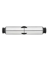 Duchess South 24W LED Medium Vanity Light by Bailey Street Home - 81-BEL-4614531
