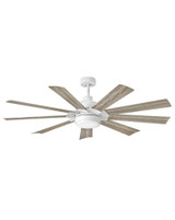 Wilson Grange 9 Blade Ceiling Fan with Light Kit 60 Inch Wide by BSH - 81-BEL-4614587