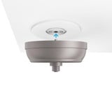 SkyPlug Standard Plug & Play Lighting Base Capella by SkyX - 5531