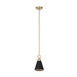 Klein 1 Light Small Pendant by Hunter Fans - KL1_194_P11