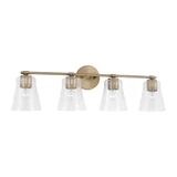 Baker 4 Light Vanity Light by Homeplace - 146941-533