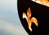 Fleur De Lis Gas Fire Pit 24 Inch Tall x 36 Inch Wide by Fire Pit Art - FleurDeLis