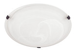 2 Light 12 Inch Wide Flush Mount by Capital - 2822FF