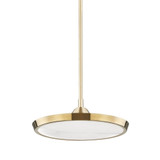 Cypress Green 1 Light Medium Pendant by Bailey Street Home - 116-BEL-4313450