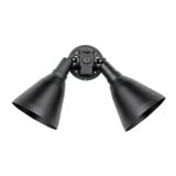 Spots 2 Light Outdoor Wall Mount by Maxim  - 92006