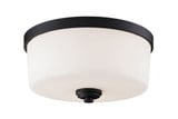 Arlington 3 Light 13.88 Inch Wide Flush Mount by Z-Lite - 220F3