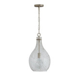 1 Light Medium Pendant 21.5 Inch Tall by Capital - 333813-472