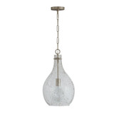 1 Light Medium Pendant 21.5 Inch Tall by Capital - 333813-472