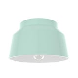 Cranbrook 1 Light 11.5 Inch Wide Flush Mount by Hunter Fans - 19171