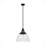 Cypress Grove 1 Light Large Pendant by Hunter Fans - 19251